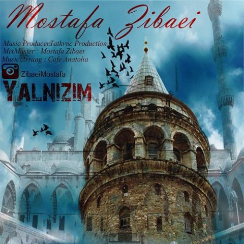 دانلود آهنگ مصطفی زیبایی بنام Yalnizim